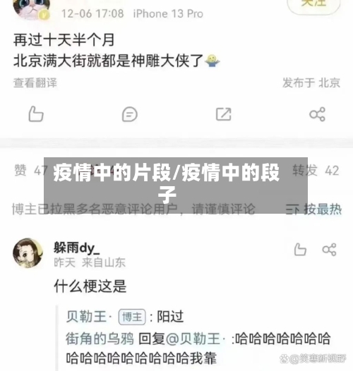 疫情中的片段/疫情中的段子
