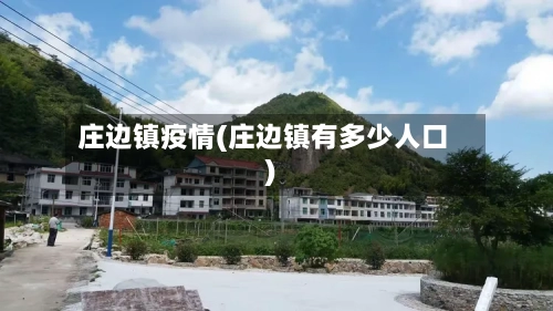 庄边镇疫情(庄边镇有多少人口)
