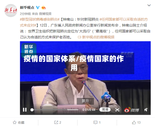 疫情的国家体系/疫情国家的作用