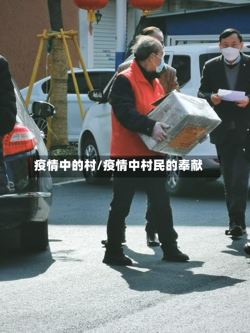 疫情中的村/疫情中村民的奉献
