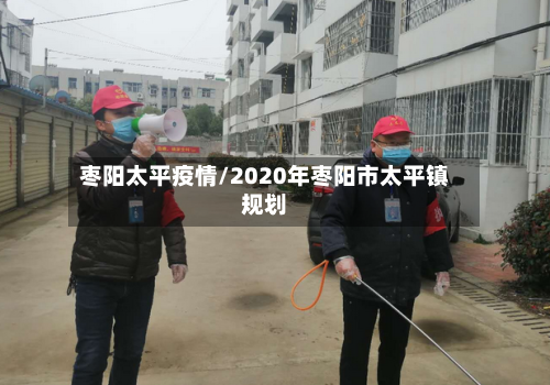 枣阳太平疫情/2020年枣阳市太平镇规划