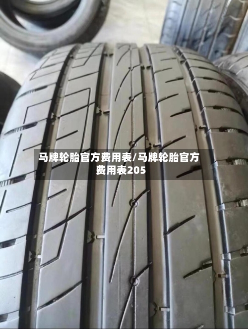 马牌轮胎官方费用表/马牌轮胎官方费用表205-第1张图片