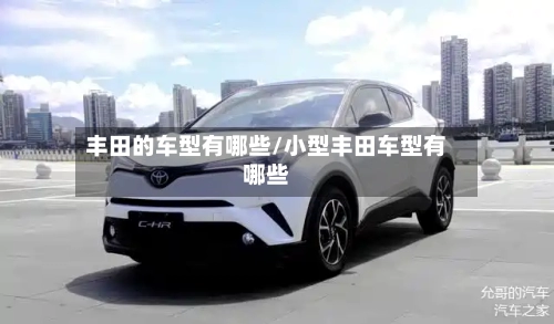 丰田的车型有哪些/小型丰田车型有哪些