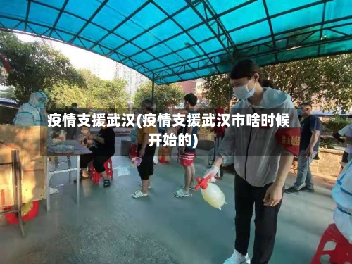 疫情支援武汉(疫情支援武汉市啥时候开始的)-第2张图片