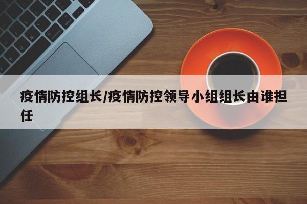疫情防控组长/疫情防控领导小组组长由谁担任