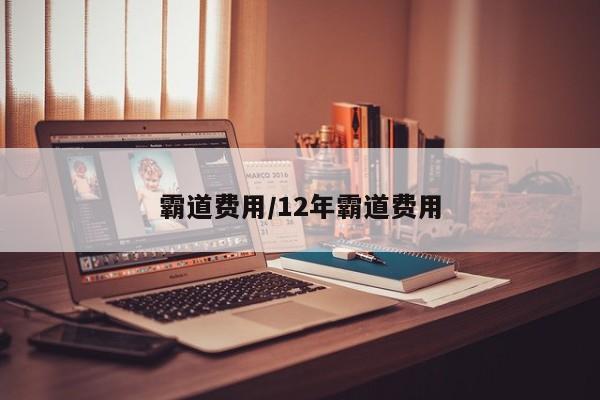 霸道费用/12年霸道费用