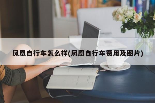凤凰自行车怎么样(凤凰自行车费用及图片)