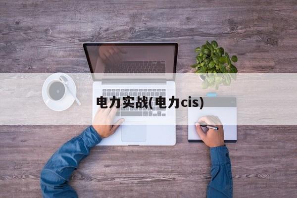 电力实战(电力cis)